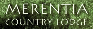 Merentia main page